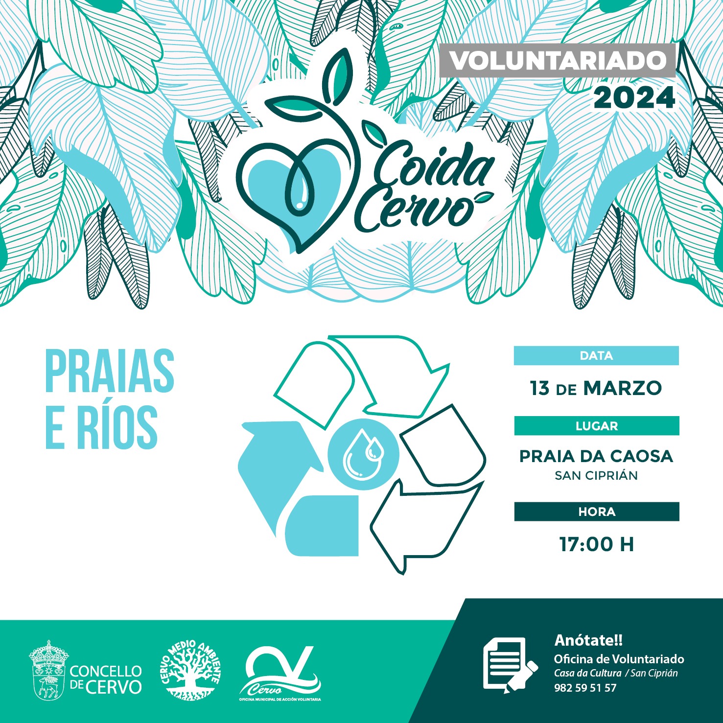 Coida Cervo, Cervo ao carón do voluntariado