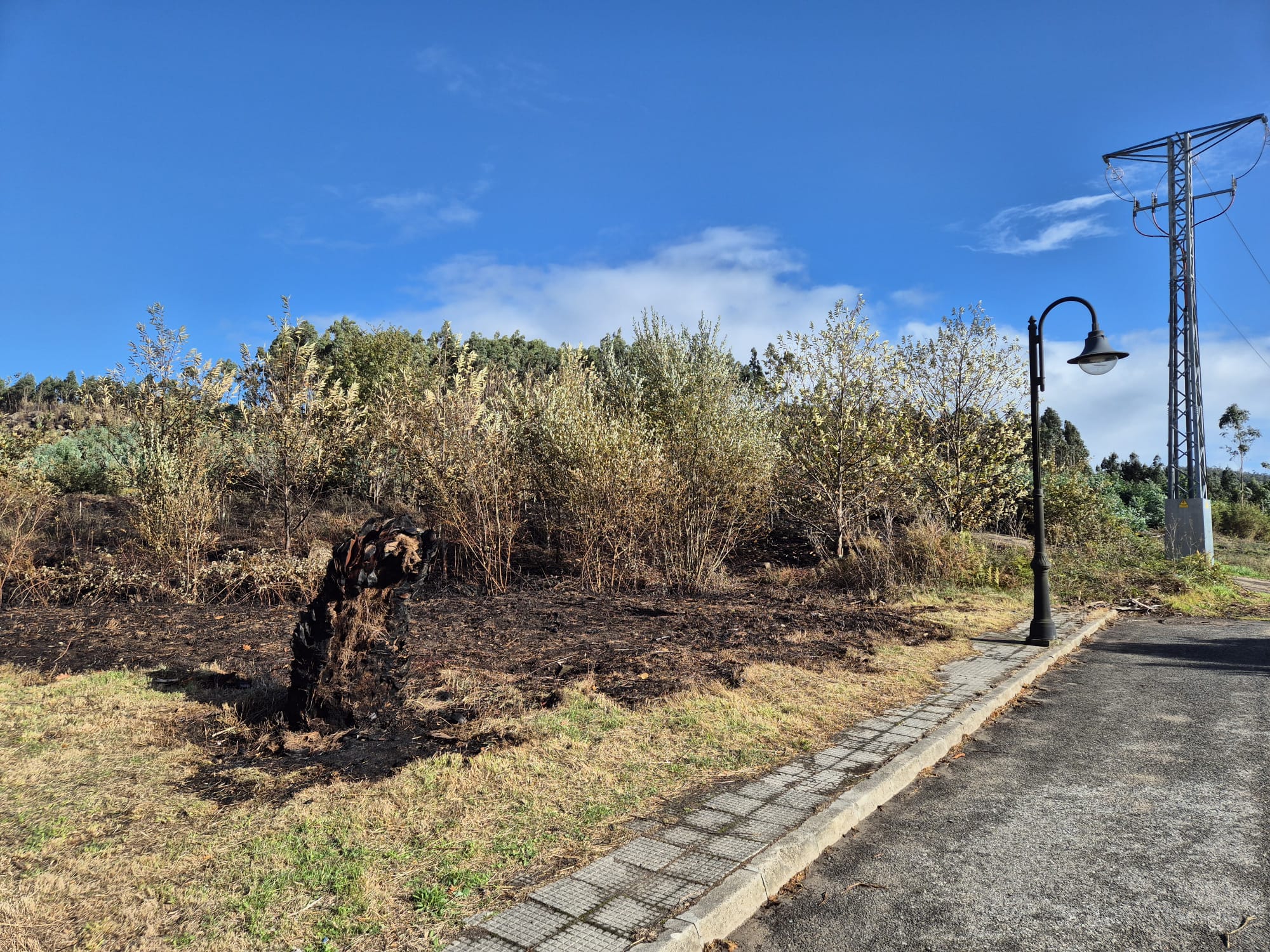 Incendio Río Cobo