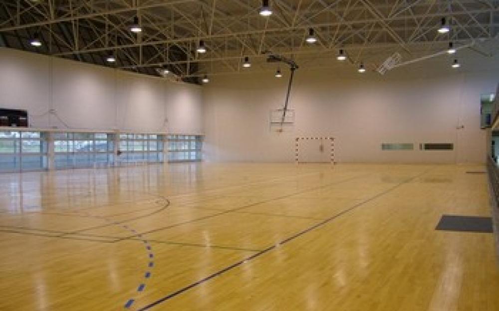 Pabellón municipal 5