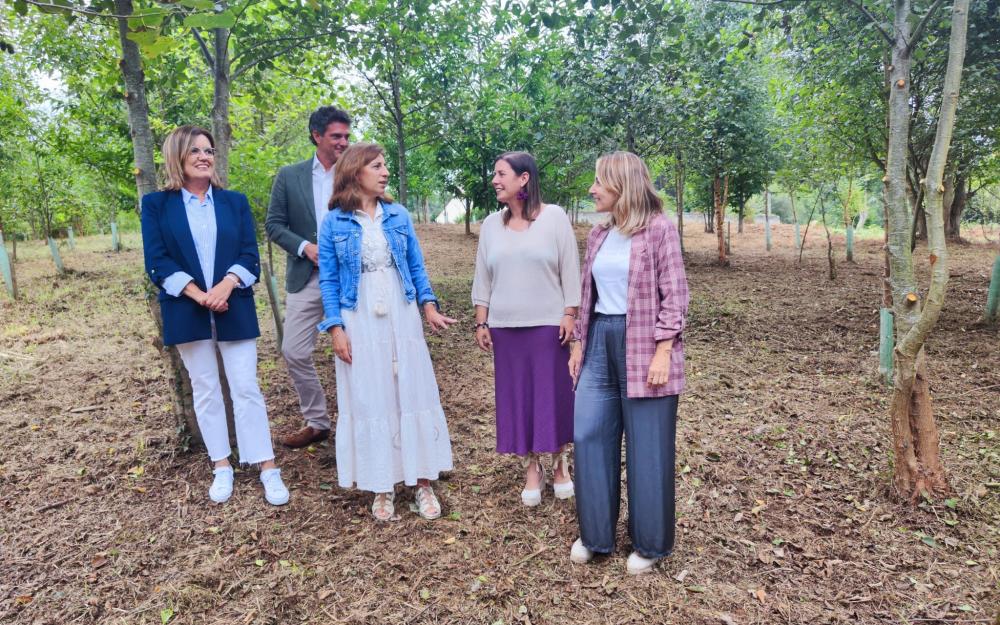 VISITA AS QUINTAS