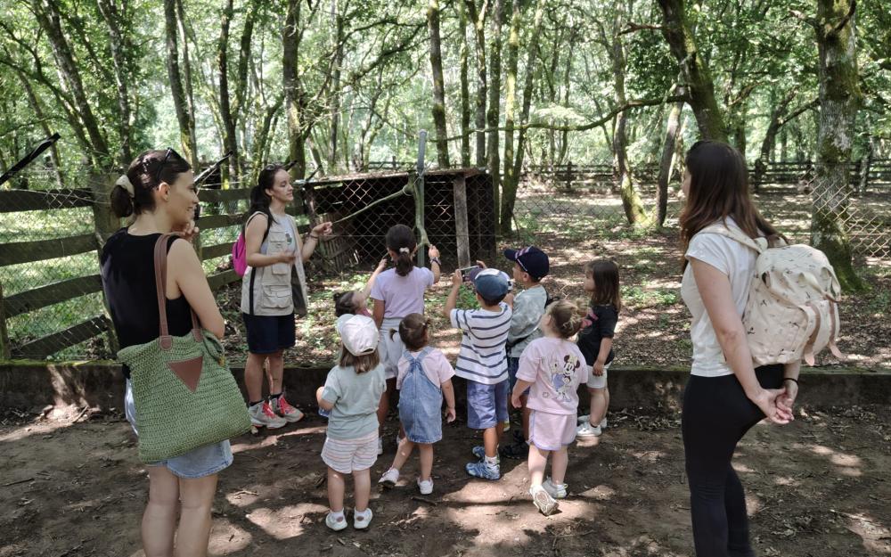 excursión escola infantil